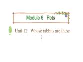 三年级下册英语课件-Module 6 Pets Unit 12  Whose rabbits are these？Period 1-教科版(共19张PPT)