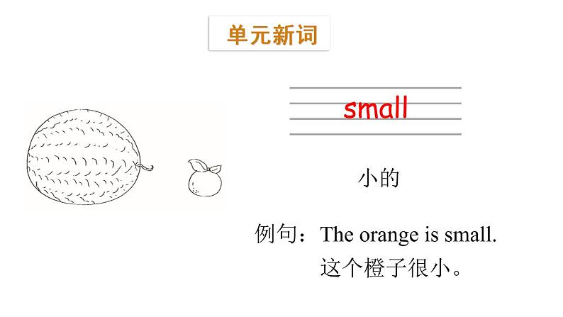 三年级下册英语课件-Module 6 Pets Unit 12  Whose rabbits are these？Period 1-教科版(共19张PPT)04