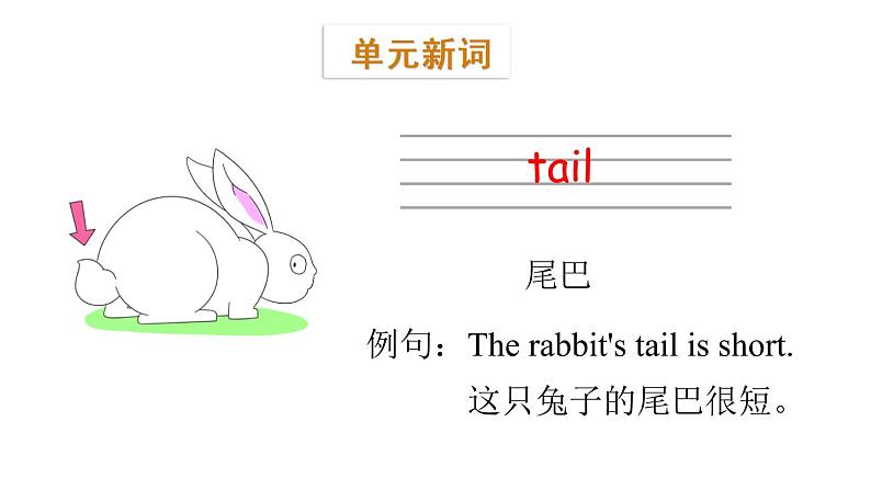 三年级下册英语课件-Module 6 Pets Unit 12  Whose rabbits are these？Period 1-教科版(共19张PPT)06