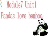 外研版（一起）六上Module 7《Unit 1 Pandas love bamboo》ppt课件1