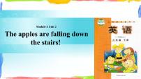 小学英语外研版 (一年级起点)六年级下册Unit 2 The apples are falling down the stairs.说课ppt课件