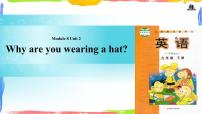 小学英语外研版 (一年级起点)六年级下册Module 8Unit 2 Why are you wearing a hat?教案配套课件ppt