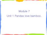 Module 7 Unit 1 Pandas love bamboo课件