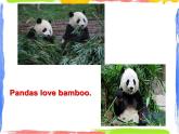 Module 7 Unit 1 Pandas love bamboo课件