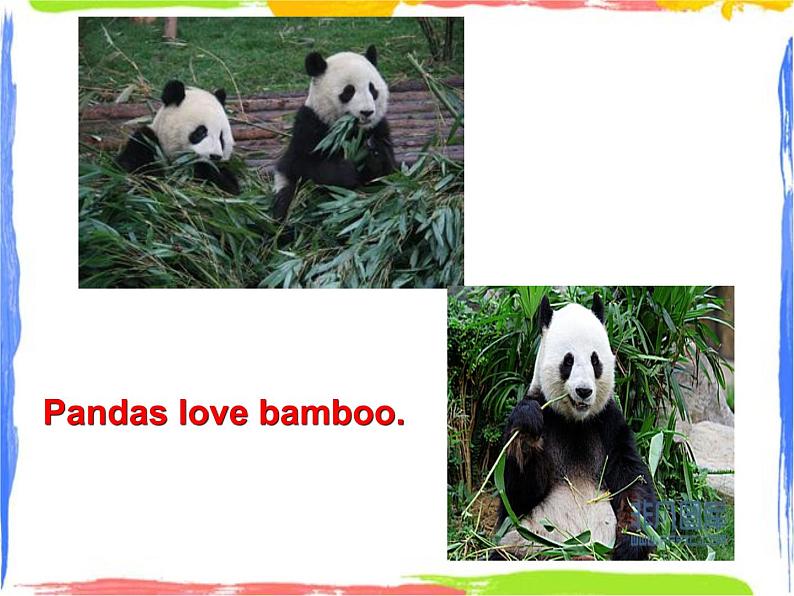 Module 7 Unit 1 Pandas love bamboo课件03