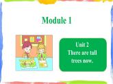 Module 1 Unit 2 There are tall trees now（课件