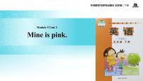 小学英语外研版 (一年级起点)五年级下册Unit 2 Mine is pink.授课ppt课件