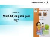 Module 10 Unit 1 What did you put in your bag 课件