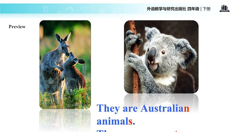 Module 9 Unit 1 Why do you like Australia 课件第8页