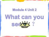 Module 4 Unit 2 What can you see 2 课件