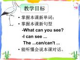 Module 4 Unit 2 What can you see 2 课件