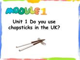 Module 1 Unit 1 Do you use chopsticks in the UK 1 课件