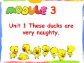 Module 3 Unit 1 These ducks are very naughty 1 课件