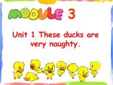 Module 3 Unit 1 These ducks are very naughty 1 課件