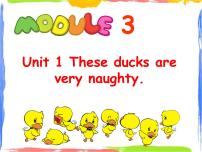 小学英语Module 3Unit 1 These ducks are very naughty.教案配套课件ppt