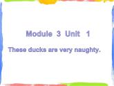 Module 3 Unit 1 These ducks are very naughty 2 课件
