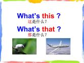 Module 3 Unit 1 These ducks are very naughty 2 課件
