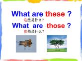 Module 3 Unit 1 These ducks are very naughty 2 課件