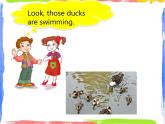 Module 3 Unit 2 The ducks are playing in the rain 1 课件