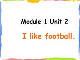 Module 1 Unit 2 I like football 1 课件