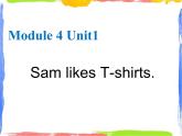 Module 4 Unit 1 Sam likes T-shirts 1 课件