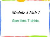 Module 4 Unit 1 Sam likes T-shirts 2 课件