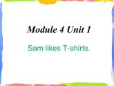 Module 4 Unit 1 Sam likes T-shirts 2 課件