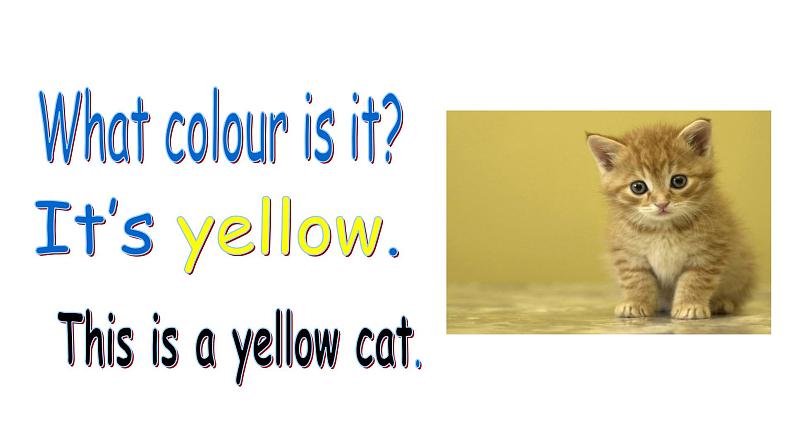 Module 5 Unit 2 This is a yellow cat 课件07