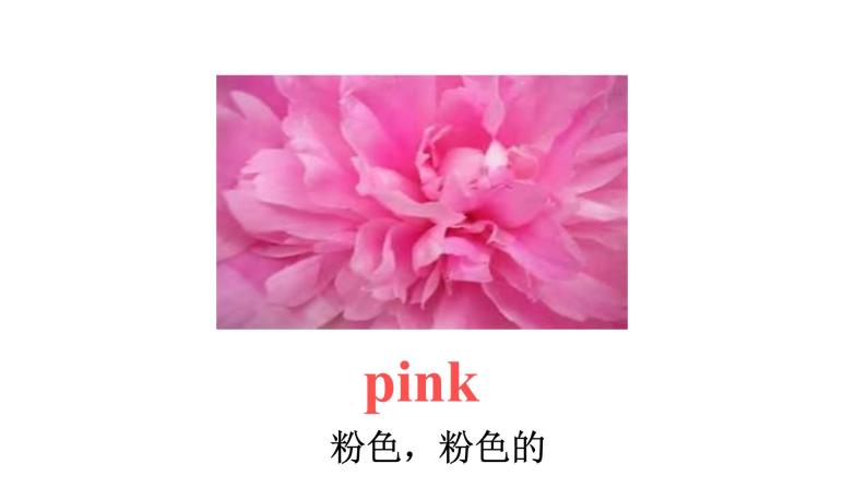 -Module 8 Unit 2 How many pink balls? 课件07