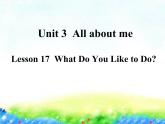 Lesson 17 What Do You Like to Do課件PPT