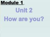 外研版（一起）小学英语一年级上册Module 1《Unit 2 How are you》课件2