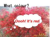 外研版（一起）小學(xué)英語一年級上冊Module 4《Unit 1 It’s red》課件2