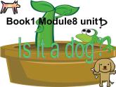 外研版（一起）小学英语一年级上册Module 7《Unit 1 Is it a dog》课件1