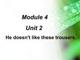 外研版(一起)小学英语二年级上册Module 4《Unit 2 He doesn’t like these trousers》ppt课件4