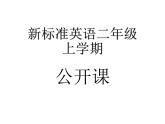 外研版(一起)小學(xué)英語(yǔ)二年級(jí)上冊(cè)Module 10《Unit 1 Happy New Year》ppt課件1