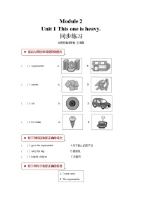 外研版 (一年级起点)五年级上册Unit 1 This one is heavy.一课一练