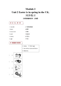 小学英语外研版 (一年级起点)五年级上册Unit 2 Easter is in Spring in the UK.同步训练题