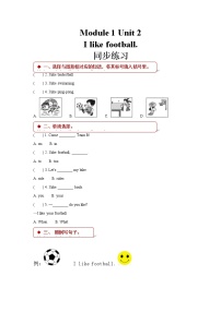 小学英语外研版 (一年级起点)二年级上册Unit 2 I like football课时作业