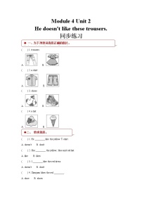 英语外研版 (一年级起点)Unit 2 He doesn't like these trousers同步达标检测题