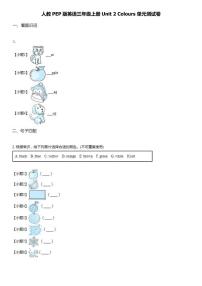 小学英语Unit 2  Colours综合与测试单元测试练习