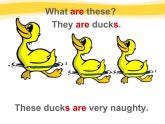 外研版(一起)小學(xué)英語三年級上冊Module 3 Unit 1《These ducks are very naughty》課件4