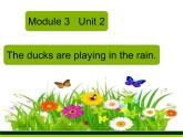 外研版(一起)小學(xué)英語三年級(jí)上冊(cè)Module 3 Unit 2《The ducks are playing in the rain》課件