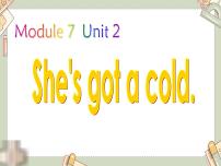 小学英语外研版 (一年级起点)三年级上册Module 7Unit 2 She’s got a cold.示范课课件ppt