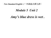 外研版(一起)五年级上册Module 5《Unit 2 Amy’s blue dress is wet》ppt课件4