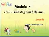 外研版(一起)五年级上册Module 7《Unit 1 This dog can help him》ppt课件2