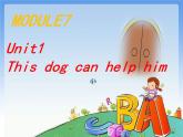 外研版(一起)五年級(jí)上冊(cè)Module 7《Unit 1 This dog can help him》ppt課件5