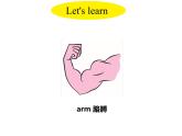 小学英语人教版（PEP）三年级上册 Unit3-B Let's learn & Let's do（课件）