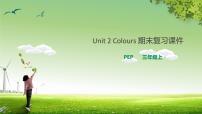 2021学年Unit 2  Colours综合与测试复习ppt课件