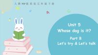 小学英语Unit 5 Whose dog is it? Part B授课ppt课件