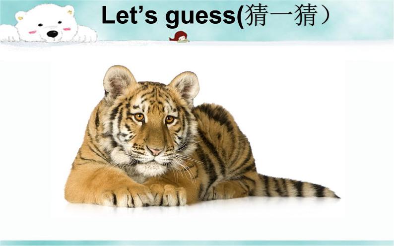 《 Lesson E Oh，You’re Baby Bear! 》 教学课件PPT+教案+练习05